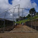 Las Piedras_ (1)