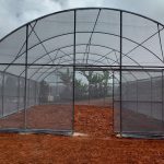 Orocovis (3)
