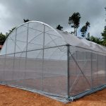 Orocovis (5)